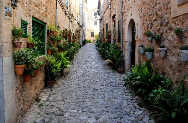 Valldemossa mallorca. Balear Adaları.