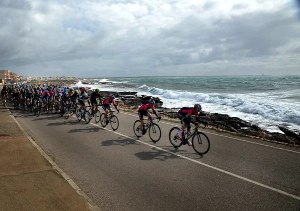 Mallorca kerékpáros kihívás 2014-re, a második szakasz. — Stock Fotó