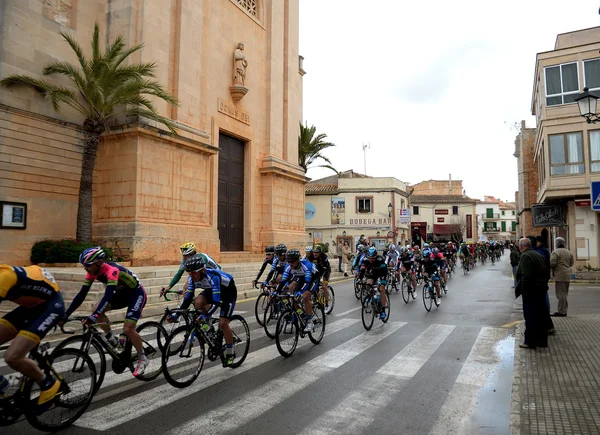 Mallorca Cycling Challenge 2014, segunda etapa . —  Fotos de Stock