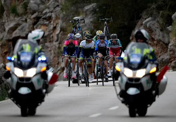 Rowerowe wyzwanie Mallorca 2014, trzeci etap w serra de tra — Zdjęcie stockowe