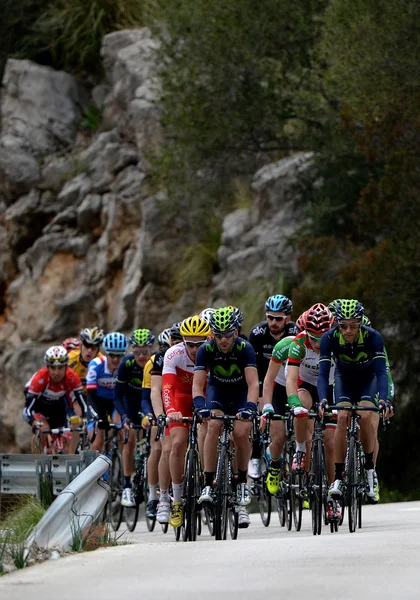 Rowerowe wyzwanie Mallorca 2014, trzeci etap w serra de tra — Zdjęcie stockowe