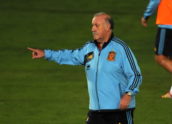 İspanyol teknik direktör vicente del bosque