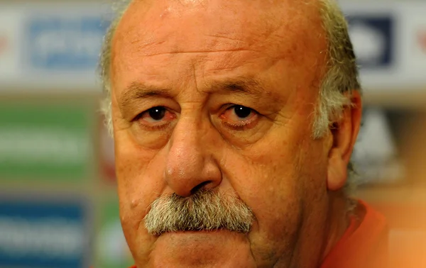 Spaniens Fußballtrainer Vicente del Bosque — Stockfoto