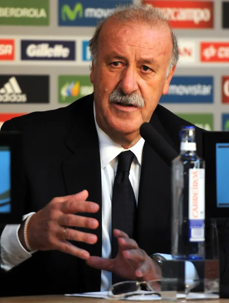 Allenatore di calcio spagnolo Vicente del Bosque — Foto Stock