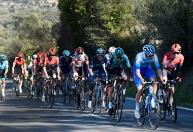 İspanya 'nın Mallorca kentinin yollarında her yıl düzenlenen Mallorca müsabakası sırasında profesyonel bisikletçiler.