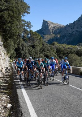 İspanya 'nın Mallorca kentinin yollarında her yıl düzenlenen Mallorca müsabakası sırasında profesyonel bisikletçiler.