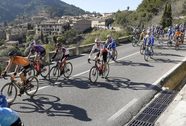 Ciclistas Profissionais Durante Competição Challenge Mallorca Que Realizada Todos Anos — Fotografia de Stock