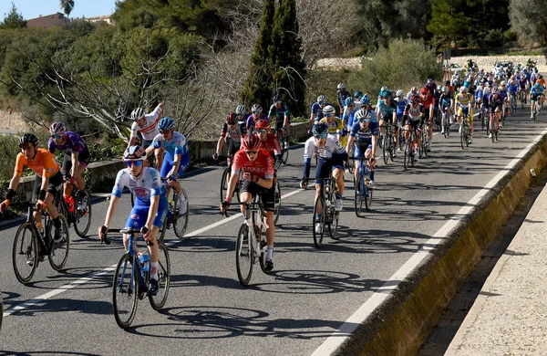 Profesjonalni Rowerzyści Podczas Zawodów Challenge Mallorca Odbywających Się Roku Drogach — Zdjęcie stockowe