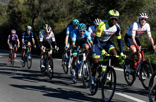 Ciclistas Profesionales Durante Competición Challenge Mallorca Que Celebra Cada Año —  Fotos de Stock