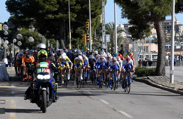 Professionella Cyklister Tävlingen Challenge Mallorca Som Hålls Varje Vägarna Mallorca — Stockfoto