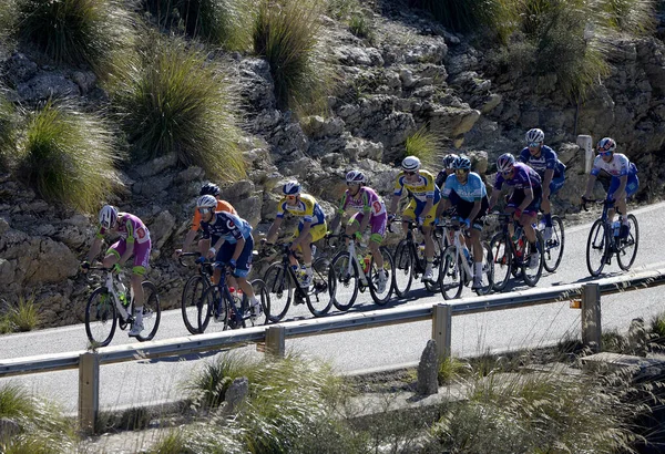 Professional Cyclists Challenge Mallorca Competition Held Every Year Roads Mallorca — Stock Photo, Image