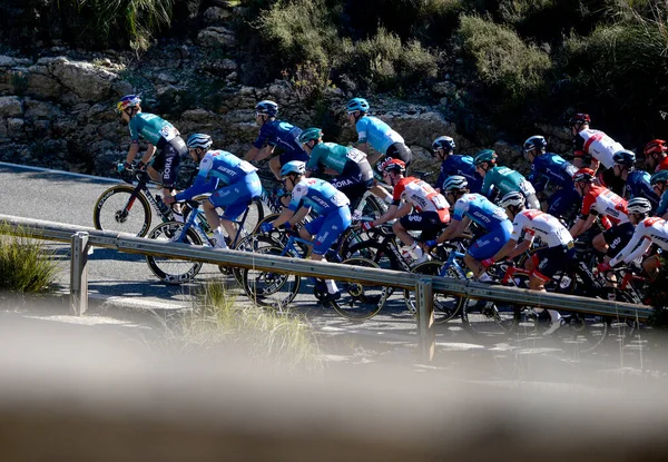 Cyclistes Professionnels Lors Compétition Challenge Mallorca Qui Tient Chaque Année — Photo