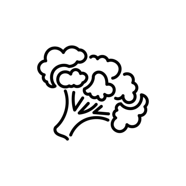 Broccoli Ikon Trendig Kontur Stil Design Vektor Grafisk Illustration Lämplig — Stock vektor