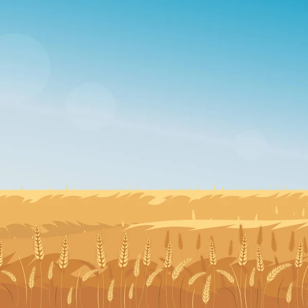 Paysage Rural Avec Champ Blé Ciel Bleu Arrière Plan Illustration — Image vectorielle