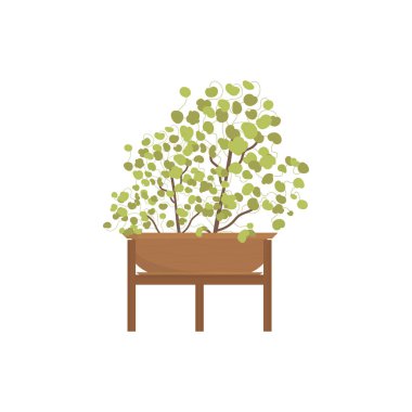 Tencerede yeşil bir çiçek. İzole edilmiş. Düz stil. Vektör illüstrasyonu