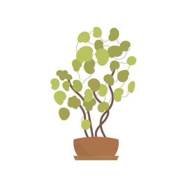 Bir çömlekte ofis bitkisi. İzole edilmiş. Düz stil. Vektör illüstrasyonu