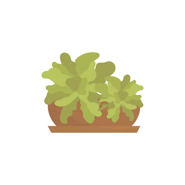 Green Flower Brown Flowerpot Isolated Flat Style Vector Illustration — Stockvektor
