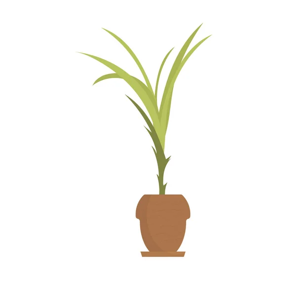 Decorative Houseplant Brown Pot Isolated Flat Style Vector Illustration — Vetor de Stock