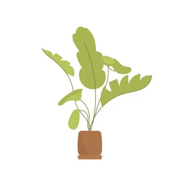 Non Flowering Plants Pots Isolated Flat Style Vector Illustration — Vetor de Stock