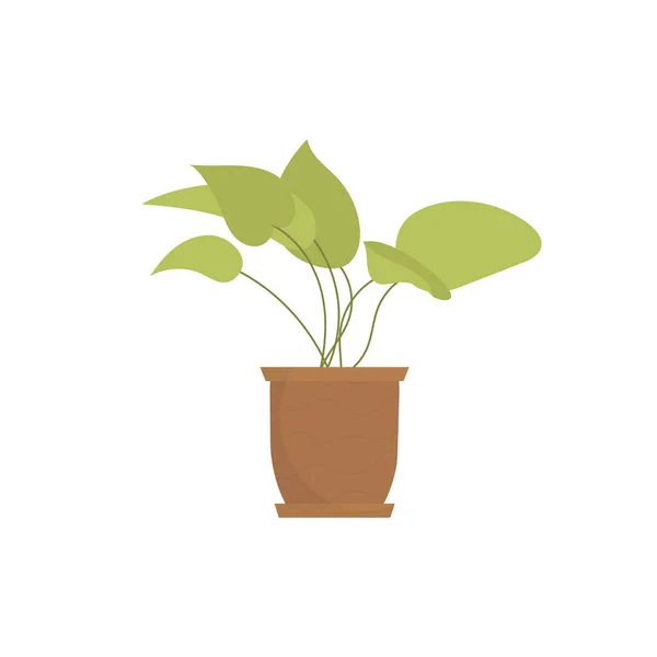 Indoor Plant Isolated Flat Style Vector Illustration — Image vectorielle