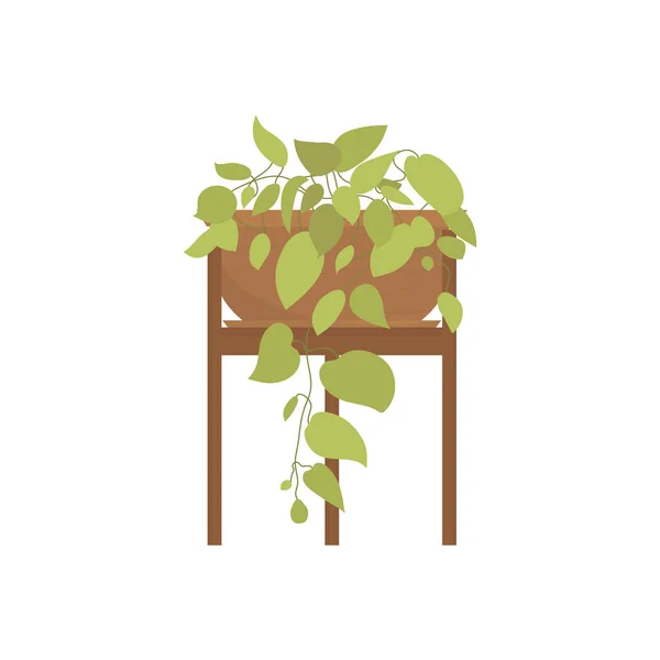 Green Plant Pot Isolated Flat Style Vector Illustration — Vetor de Stock