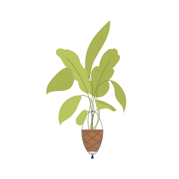 Green Plant Isolated Flat Style Vector Illustration — Stockvektor