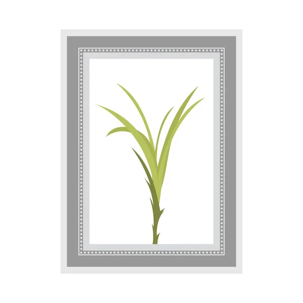 Imagem Artística Com Uma Planta Isolado Estilo Plano Ilustração Vetorial — Vetor de Stock