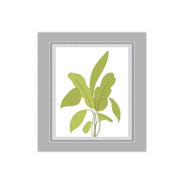 Painting Depicting Non Flowering Plant Isolated Flat Style Vector Illustration — Stock Vector