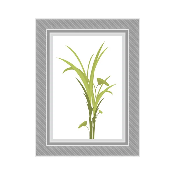 Bild Mit Grauen Rahmen Und Zierpflanze Isoliert Flacher Stil Vektorillustration — Stockvektor