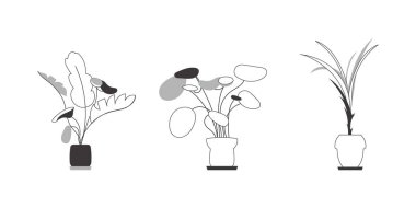 Bir grup kapalı alan bitkisi. Lineart modaya uygun. İzole edilmiş. Vektör illüstrasyonu.
