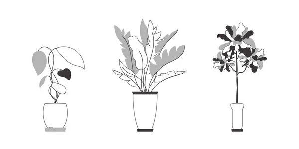 Набор Комнатных Растений Современный Линейный Стиль Изолирована Векторная Иллюстрация — стоковый вектор