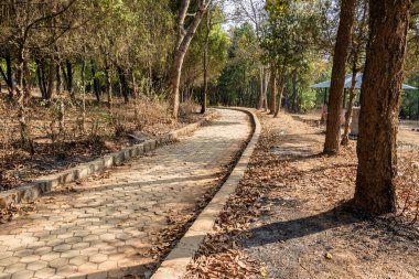 Yol Shreenagar 'ın diğer tarafına gidiyor. Yolun gideceği yer Batase Dada, Tansen, Palpa.
