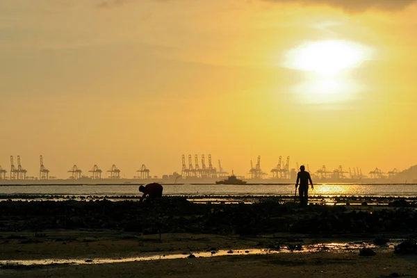 Panorama De Brest Au Lever Du Soleil Photographie Benkrut