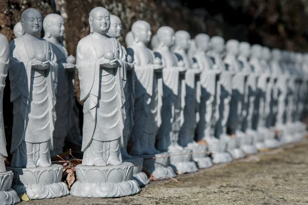Várias estátuas de buddha no templo japonês — Fotografia de Stock