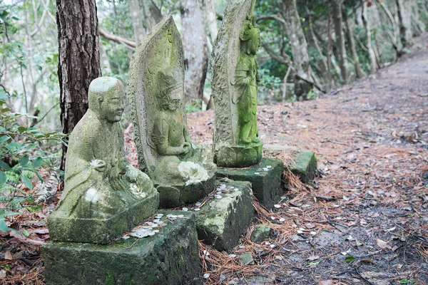 Japán Isten idol erdőben — Stock Fotó