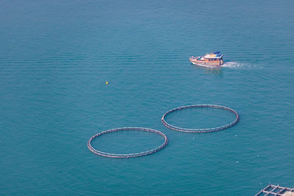 Fischereiplatz Angelausrüstung Und Boot Der Pichic Bay Lamma Island Hongkong — Stockfoto