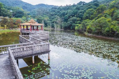 Küçük gölün ortasındaki pavyon, Lung Tsai Ng Yuen, Lantau Adası, Hong Kong, güz mevsimi