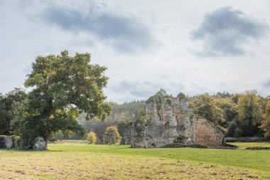 Waverley Abbey, Farnham, Surrey, Tarihi mekan, İngiltere