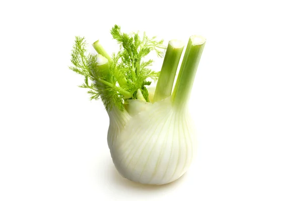 Fenchel — Stockfoto