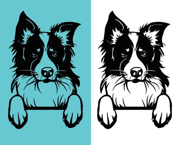 Border Collie Dog Vector Design Editable File — Stock Vector