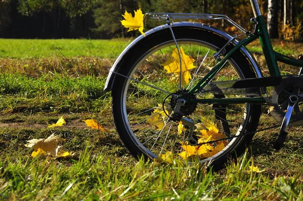 Radfahren Herbstpark — Stockfoto