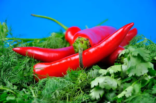 Fresh Chili Pepper Background Greenery — Stock Photo, Image