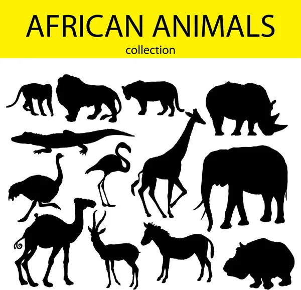 Animale africane — Vector de stoc