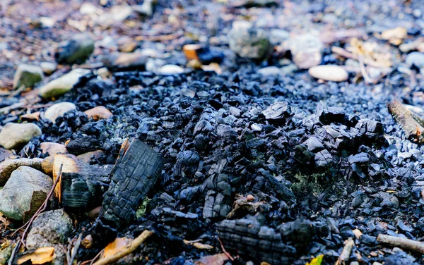 Σβησμένος Ξυλάνθρακας Από Καυσόξυλα — Φωτογραφία Αρχείου