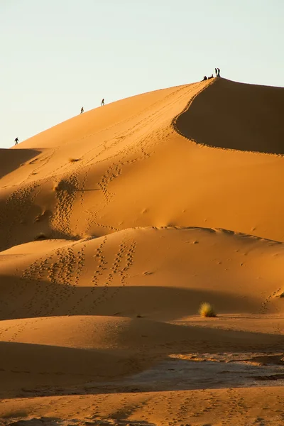 Saharaöknen Royaltyfria Stockfoton