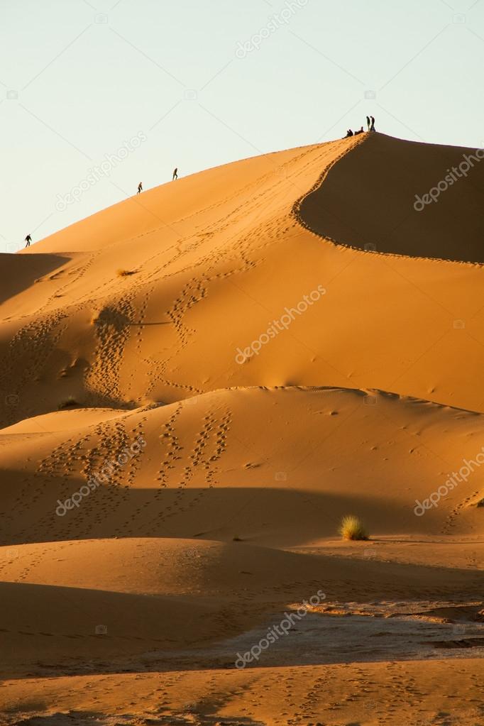 Sahara Desert