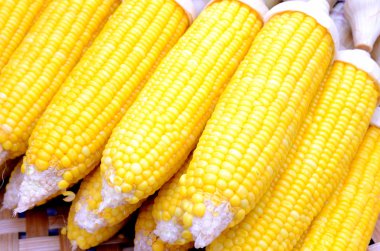 haşlanmış mısır