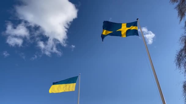 Flag of Ukraine and Sweden on pole waving in Swedish capital city. — Vídeo de Stock