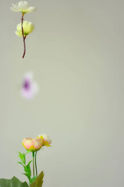 Красивые цветы. Концепция летнего цветения. Творческая весенняя природа. — стоковое фото