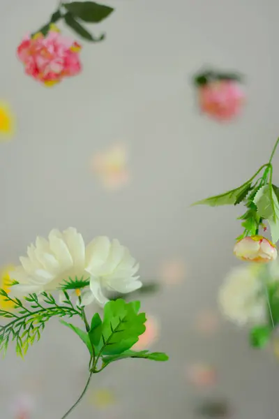 Прекрасна Квітка Творча Весняна Природа Літня Концепція Цвітіння Копіювати Простір — стокове фото
